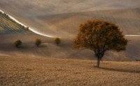 305 - HERBSTSTIMMUNG - GABERTHUEL WALTER - italy